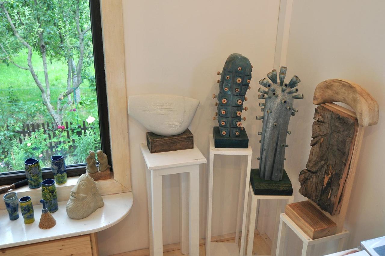 Bed & Breakfast Popamuseum Tarpesti Strada Muzeului Nr 28 Tîrpeşti 외부 사진